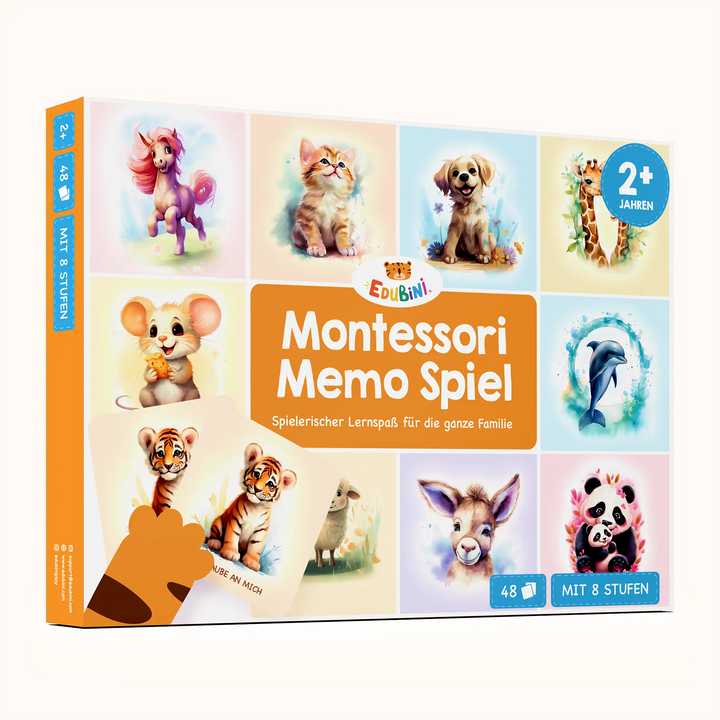 Montessori Memo Spiel