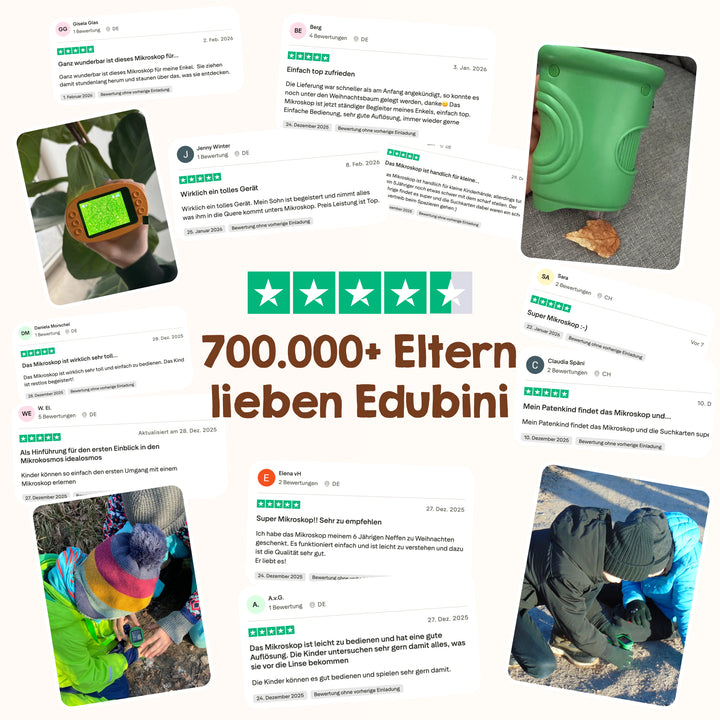 Objektträger für Mikroskop