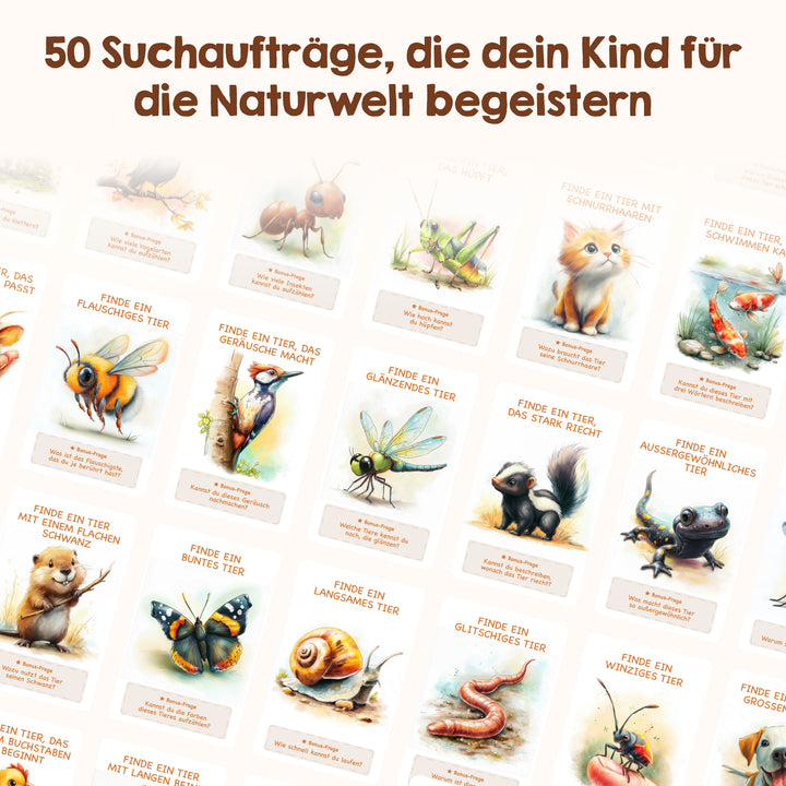 Edubini Gefunden!® Outdoor Suchspiel